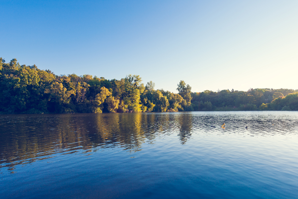 Lake Artemesia