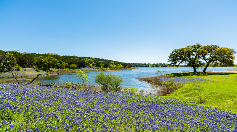 Scenic view of Lake Artemesia Natural Area