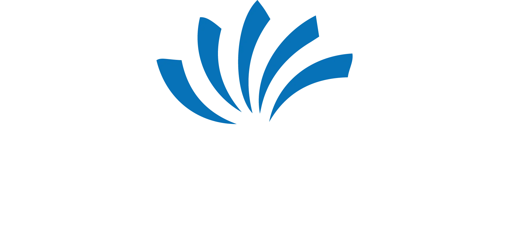 1902 Studios