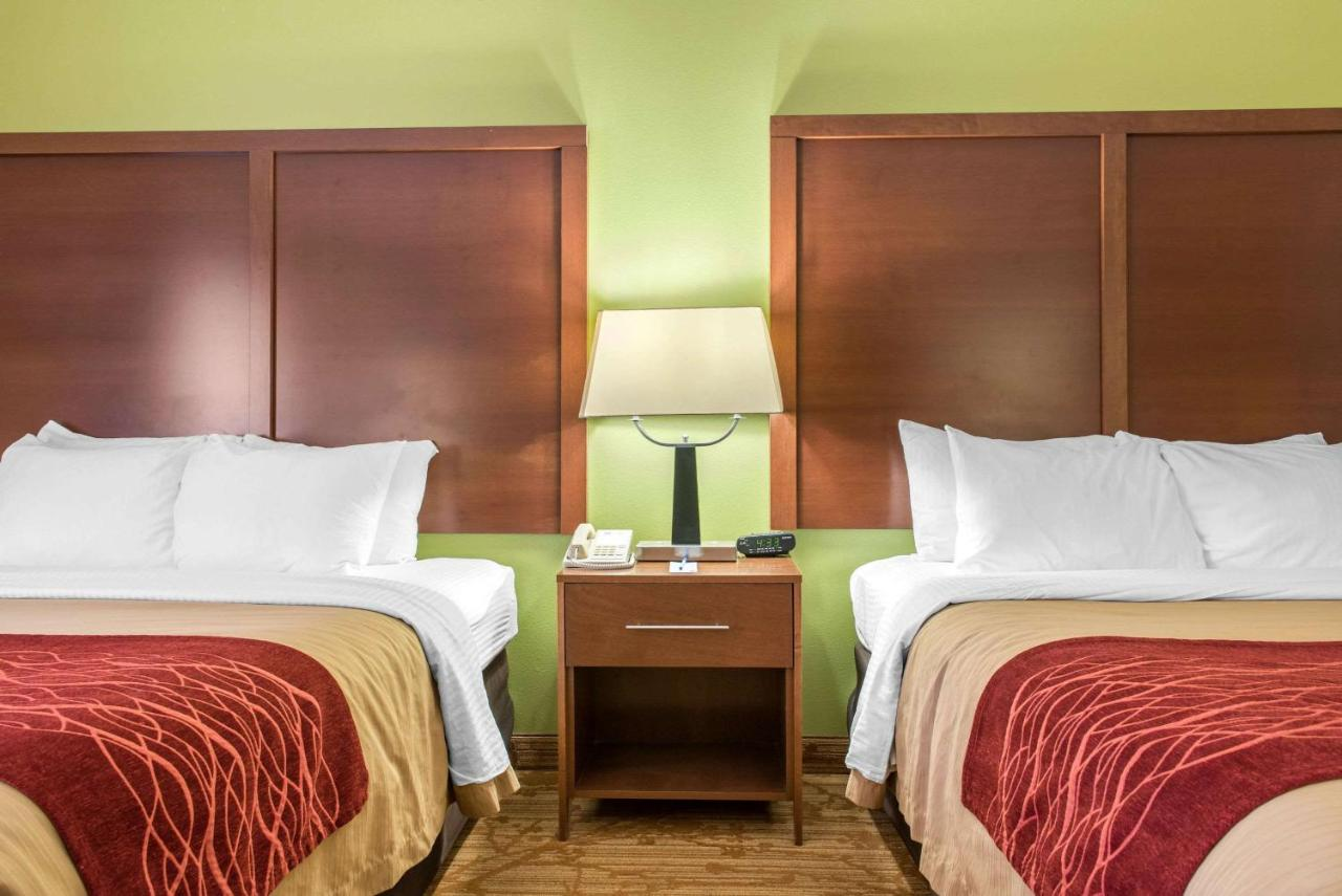 2 King Beds Room