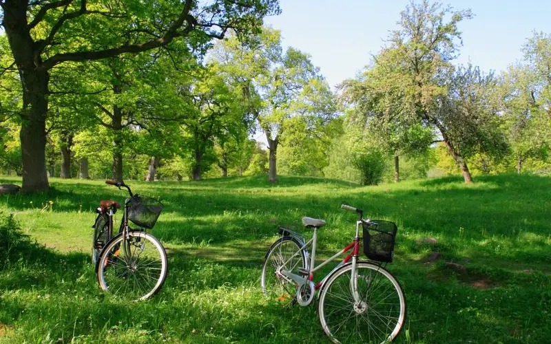 Terrace Avenue Park