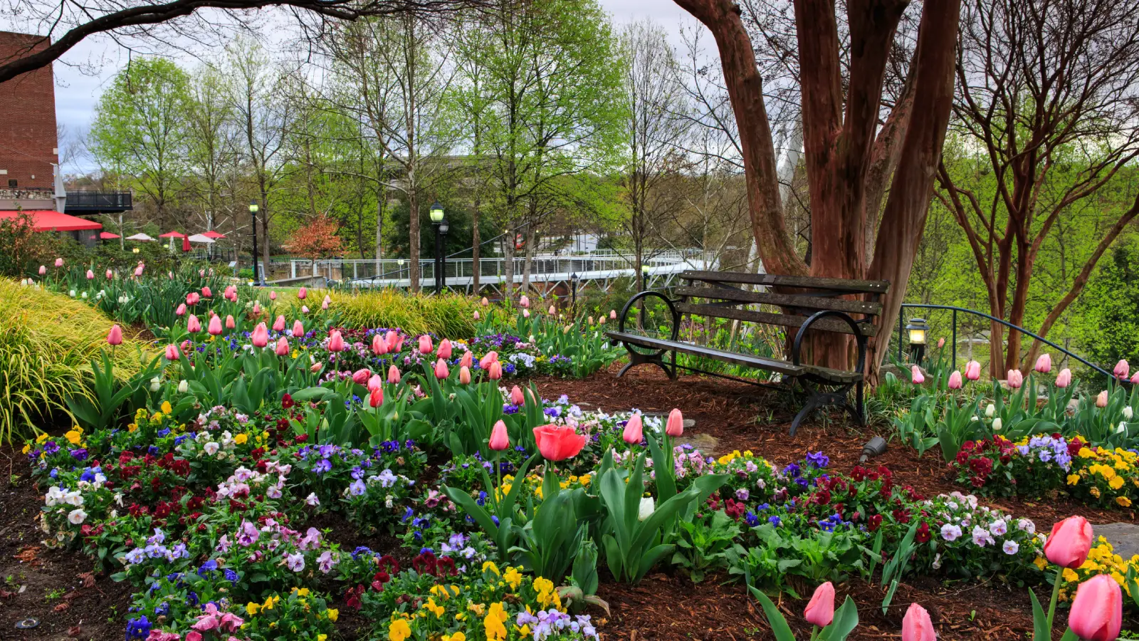 Peaceful Garden Retreat
