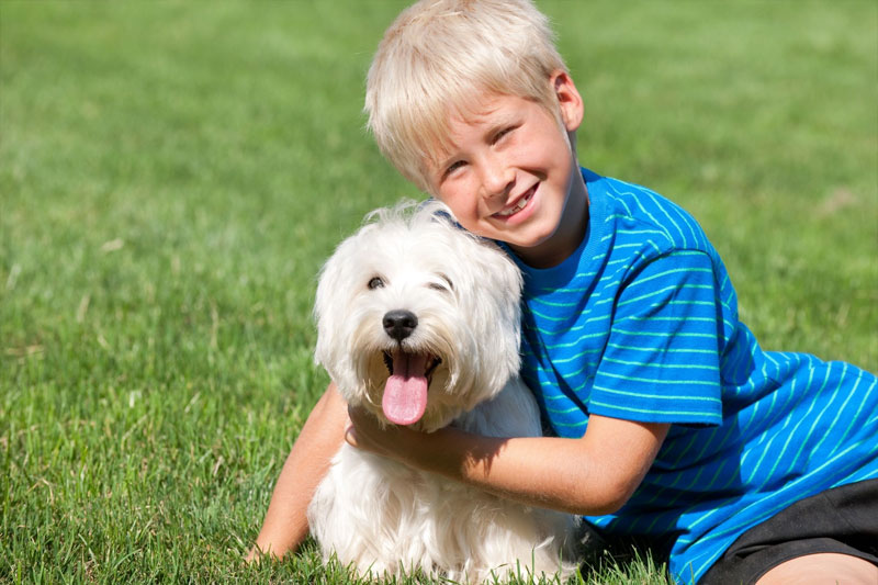 International Windmill Museum